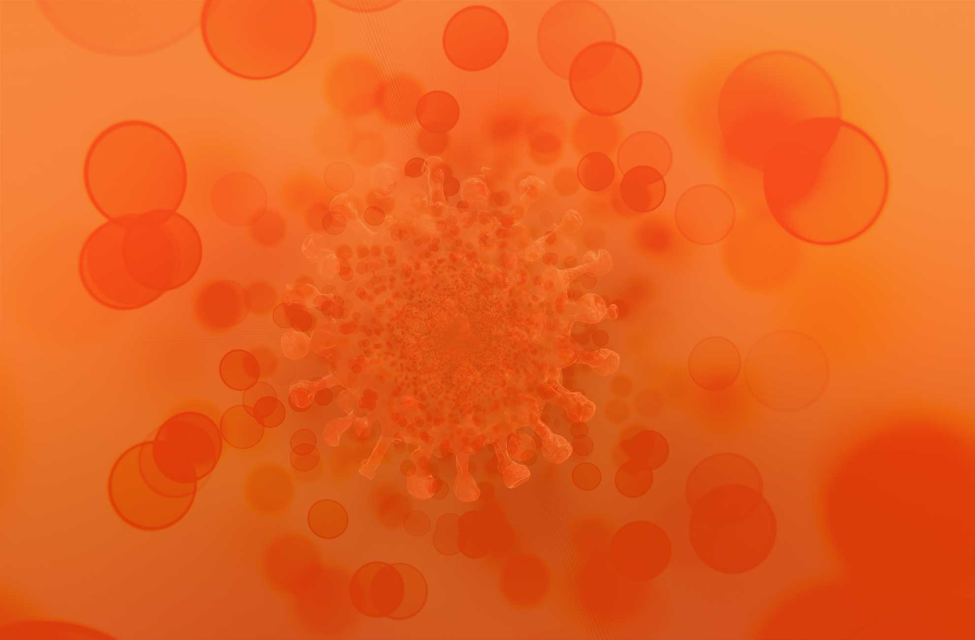 买卖(B.1.1.529)的变体